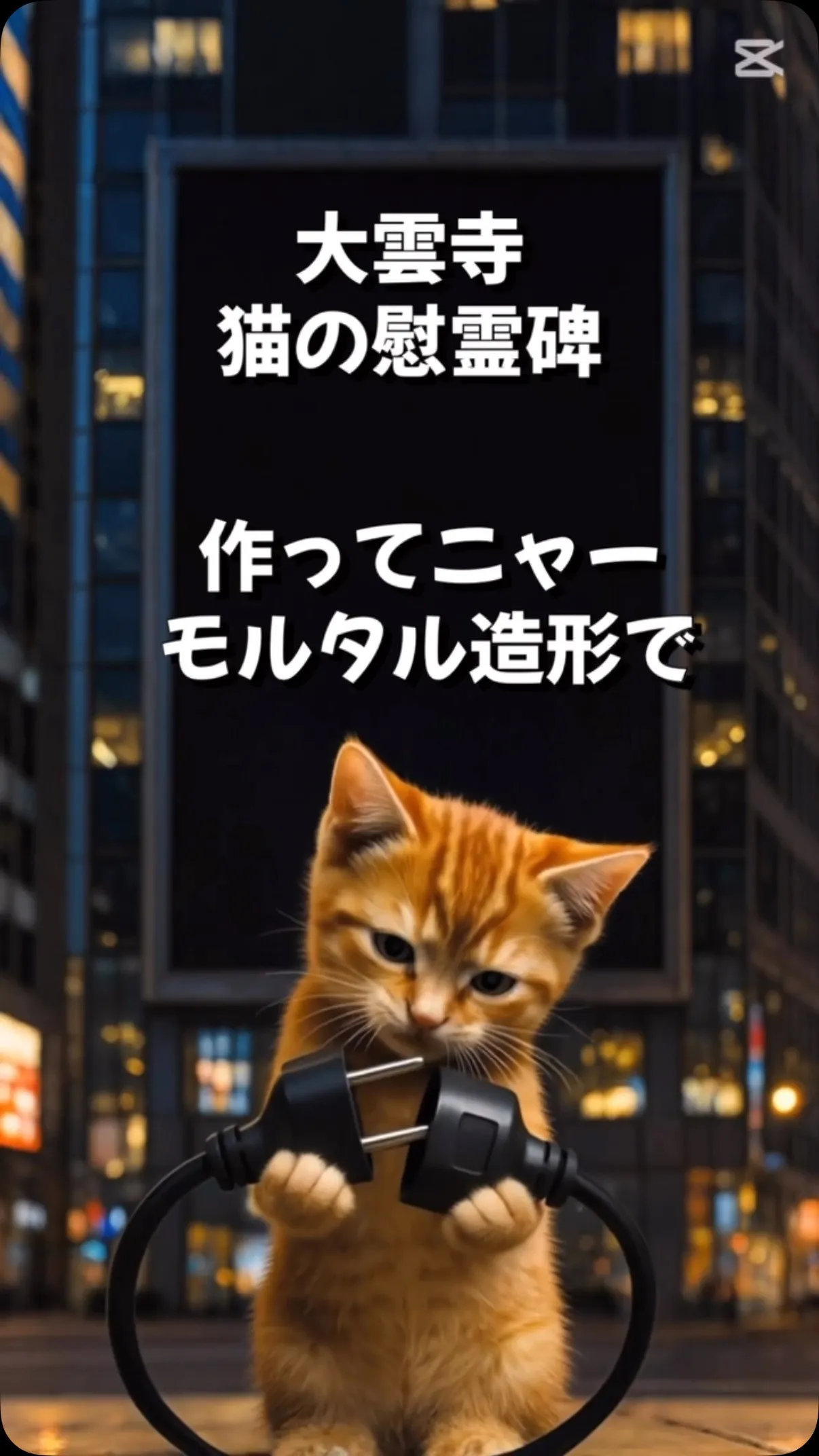 📍京都市左京区【大雲寺】