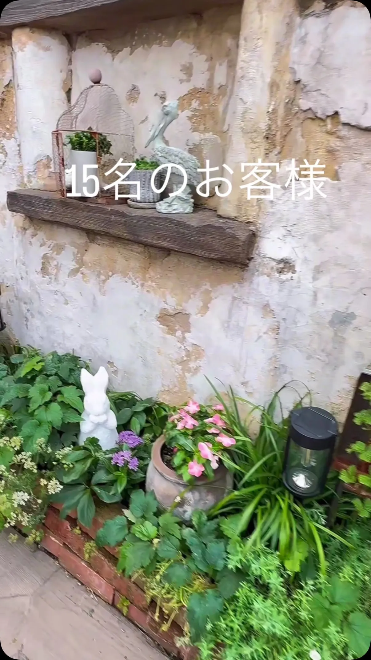 遠路はるばる、本当にありがとうございました！😭✨